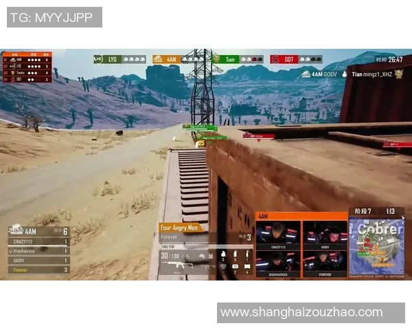 杨丽专访：从新手到高手的和平精英成长之路回顾