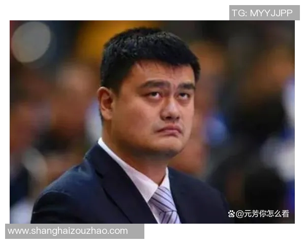 蒲城新闻聚焦姚明篮球传奇与家乡发展新机遇的深度探讨